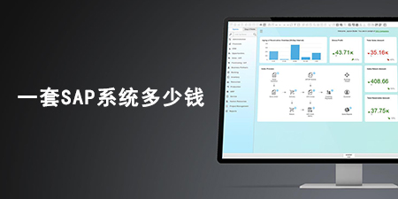 企業(yè)上一套SAP Business One的成本是多少錢(qián)?