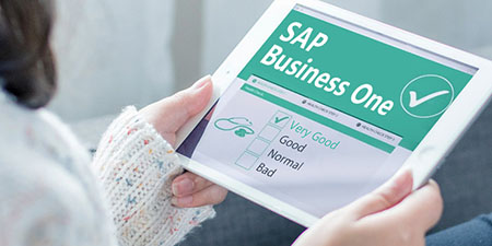 哲訊SAP Business One二次開發(fā)：解鎖潛力，實現(xiàn)定制化需求