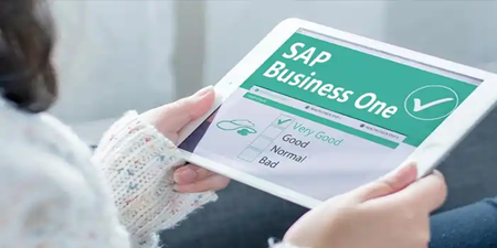 SAP B1 內(nèi)部錯誤，錯誤代碼對應(yīng)的原因說明